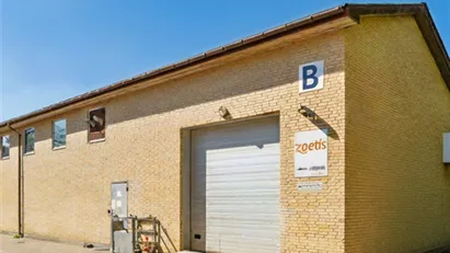 360 m² fleksibelt lager- og kontorlejemål i Farum