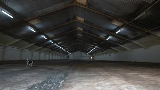 Lagerlokaler til leje i Daugård - billede 8