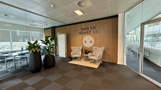 Kontorlokaler til leje i Vejle Centrum - billede 9