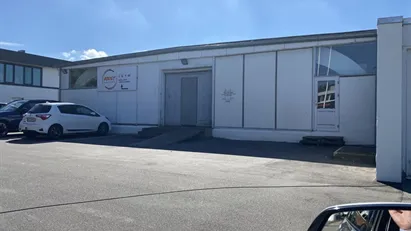 Showroom/Engros/lager