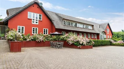 Kontorfællesskab – effektivt og hyggeligt