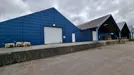 Lager til leje, Viborg, &lt;span class=&quot;blurred street&quot; onclick=&quot;ProcessAdRequest(252041)&quot;&gt;&lt;span class=&quot;hint&quot;&gt;Se vej-navn&lt;/span&gt;[xxxxxxxxxx]&lt;/span&gt;