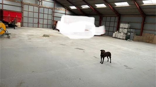 Erhvervslejemål til leje i Haslev - billede 7