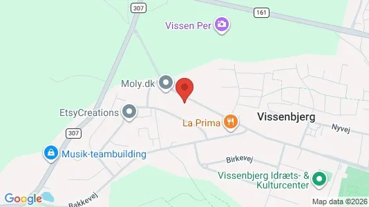 Boligudlejningsejendomme til salg i Vissenbjerg - kort over placeringen