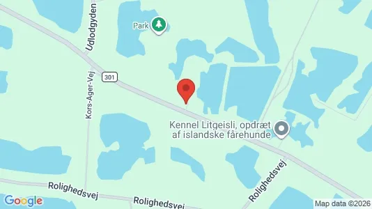 Boligudlejningsejendomme til salg i Odense SØ - kort over placeringen