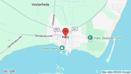 Erhvervslejemål til leje i Hals - kort over placeringen