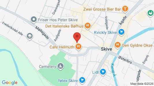 Erhvervslejemål til salg i Skive - kort over placeringen