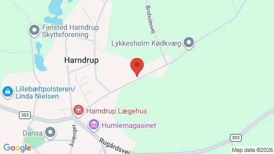 Boligudlejningsejendomme til salg i Harndrup - kort over placeringen