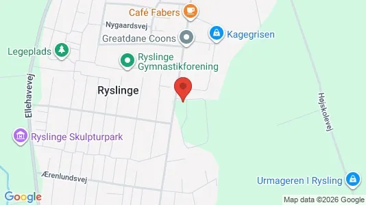 Boligudlejningsejendomme til salg i Ryslinge - kort over placeringen