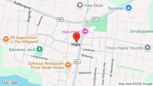 Erhvervslejemål til leje i Hals - kort over placeringen