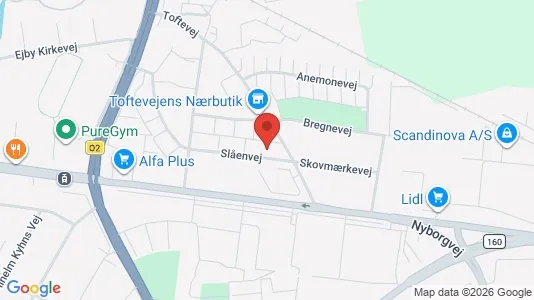Erhvervslejemål til salg i Odense SØ - kort over placeringen