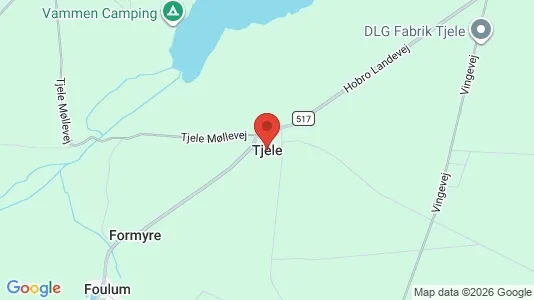 Erhvervslejemål til leje i Tjele - kort over placeringen