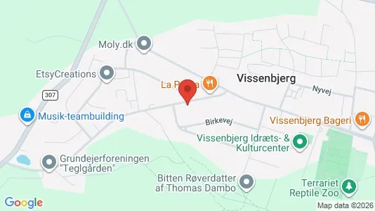 Boligudlejningsejendomme til salg i Vissenbjerg - kort over placeringen