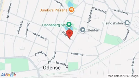 Boligudlejningsejendomme til salg i Odense C - kort over placeringen